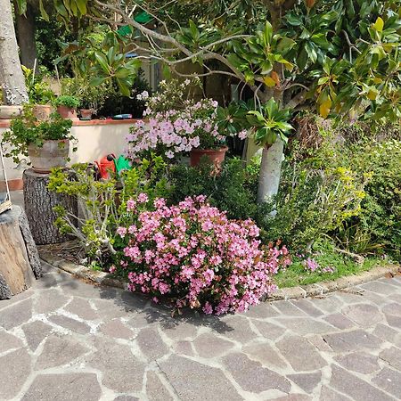 Il Diacciarello Apartamento Gabbro Exterior foto
