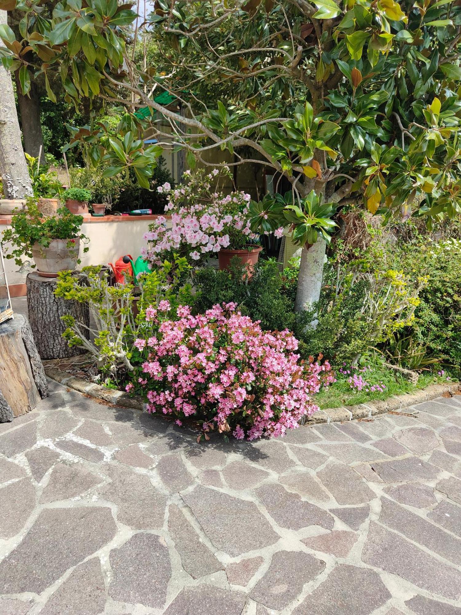 Il Diacciarello Apartamento Gabbro Exterior foto